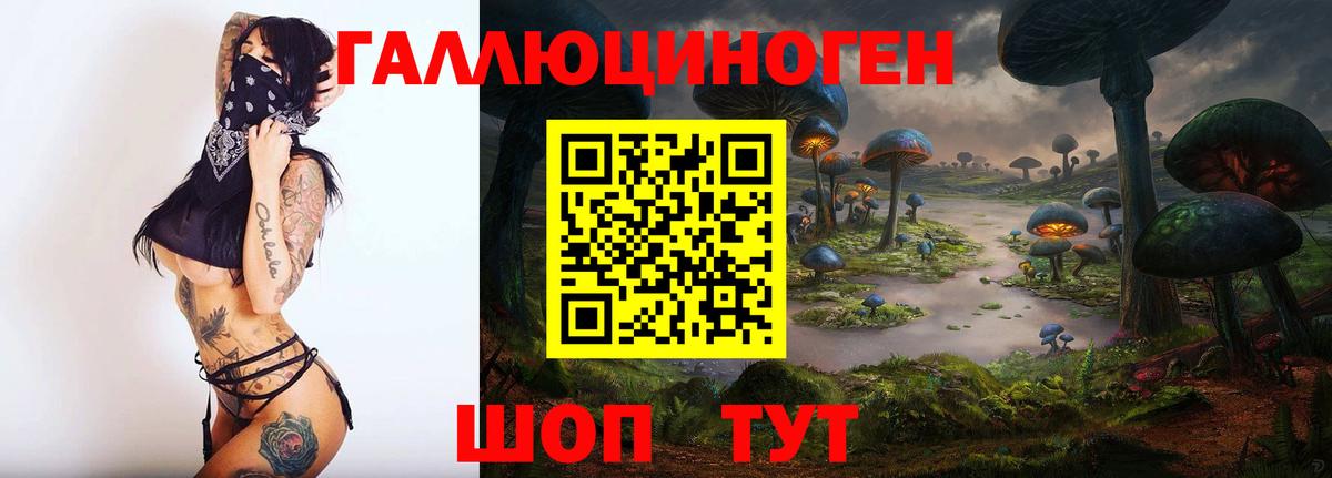 Галлюциногенные грибы MAGIC MUSHROOMS  Вход с VPN  где продают   Псилоцибиновые грибы MAGIC MUSHROOMS  Томск 